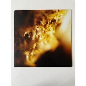 Jodis Black Curtain LP Orig Inner Download Card Hydra Head Records HH666-212 EX